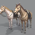Two Saddled Horses With Different Coat Colors Standing On Gray Background