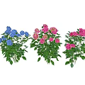 Three Beautiful Vibrant Blue Pink Red Flower Bouquets With Fresh Green Leaves