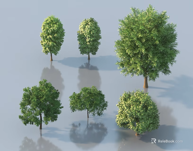 Various Types of Deciduous Trees With Lush Green Foliage and Different Shapes 3d model 
