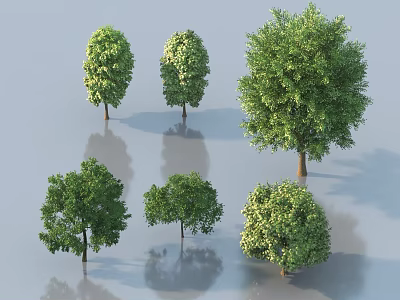 Various Types of Deciduous Trees With Lush Green Foliage and Different Shapes 3d model