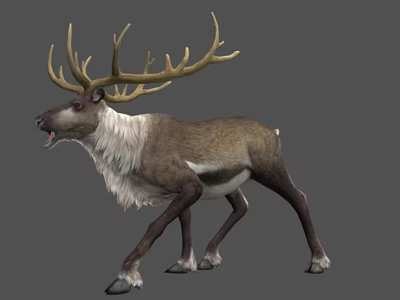 Realistic 3D Reindeer Model With Large Antlers White Fur And Natural Posture 3d model