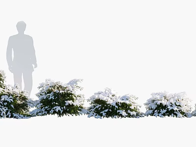 Snow Covered Trees With Silhouette Of A Person Standing Against White Background 3d model