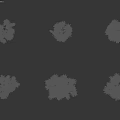 Various Palm Trees With Lush Foliage And Different Trunk Shapes For Landscaping