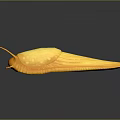 Bright Yellow Slug With Orange Antennae And Sleek Body On Dark Reflective Surface
