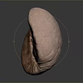 Close Up View Of Split Roasted Coffee Bean With Rich Texture And Glossy Surface
