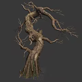 Leafless Tree With Thick Trunk And Twisted Branches In Gray Background 3d model