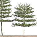 Arbor Display in Various Heights With Human Silhouette for Landscaping Design 3d model