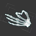 Human Hand Skeleton Anatomical Structure Detailed Bone Illustration White on Black Background 3d model