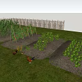 Lush Vegetable Garden With Chickens Green Plants And Wooden Fence