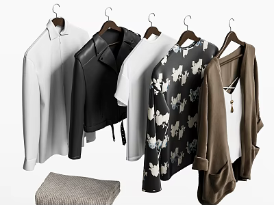 Stylish Hanging Clothes With White Shirt Black Leather Jacket Printed Sweater Brown Cardigan Gray Knitwear 3d model