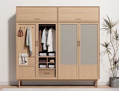 Nordic Wardrobe Solid Wood Wardrobe Rattan Wardrobe Potted Plant 3d model