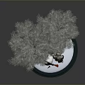Figure In Red Coat Standing With Pine Trees On Snowy Ground And Sled Nearby
