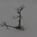 Dead Tree With Twisted Trunk Leafless Branches And Exposed Roots In Gray Background 3d model
