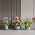 Colorful Bonsai Potted Plants With Various Flowers In Gray Pots For Indoor Decor