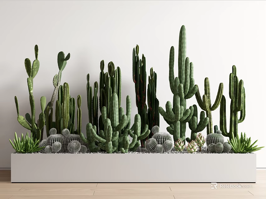 Various Green Cactus Succulent Bonsai Potted Plants In White Rectangular Planter 3d model