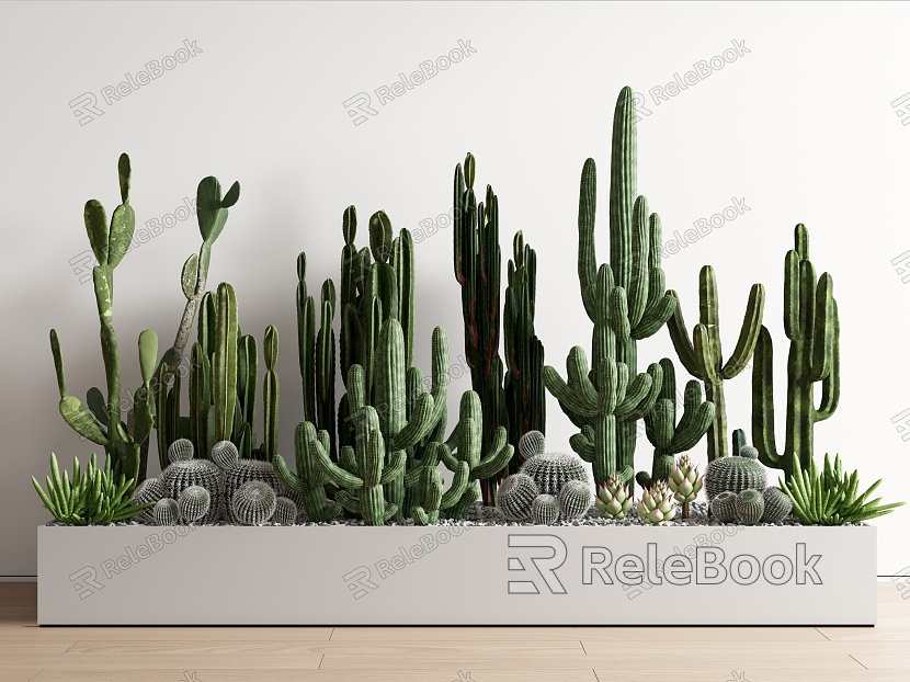 Cactus succulent plant combination potted plant combination fleshy flower box landscape model