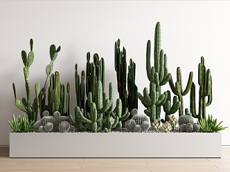 Cactus succulent plant combination potted plant combination fleshy flower box landscape 3d model