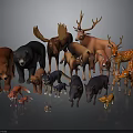 Colorful Wild Animal Figurine Collection With Bears Moose Deer Fox Wolf And Boar