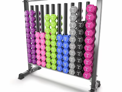 Sturdy Dumbbell Rack With Multicolor Dumbbells For Home Gym Fitness Equipment 3d model