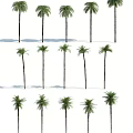 Modern Palm Tree 3d model