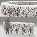 Snow Covered Shrubs In Winter Garden With Neat Hedge And White Landscape