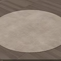 Modern Beige Plush Round Rug With Soft Texture On Wooden Floor