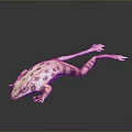 Green And Brown Spotted Frog 3D Model With Stretched Body On Smooth Surface