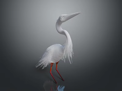 White Heron With Long Neck And Red Legs Standing On Dark Background 3d model