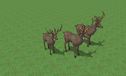 Modern Deer Elk 3d model