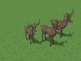 Modern Deer Elk 3d model