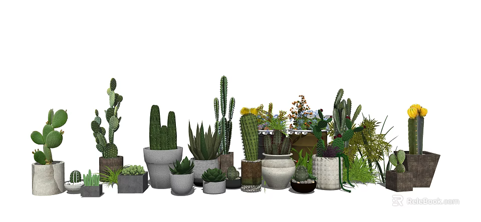 Various Potted Cacti Succulents And Green Plants In Ceramic Pots For Indoor Decoration 3d model 