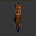 Okapi Wild Animal With Reddish Brown Coat White Stripes Horns And Distinctive Facial Markings
