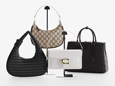 Stylish Handbags Collection with Hobo Woven Tote Polka Dot Designs and White Gold Buckle 3d model