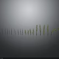 Progressive Growth Stages of Green Plants Showing Increasing Height and Foliage on Gray Background