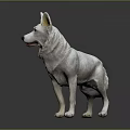 White Dog Standing on Black Background with Detailed Texture and Lifelike Posture