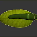 Vibrant Green Caterpillar Crawling On Fresh Green Leaf With Yellow Spots