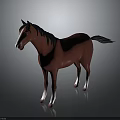 Red Horse Standing With Black Mane Tail And White Hooves On Gray Background