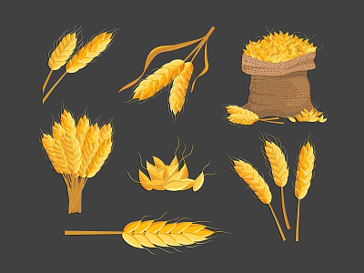 Golden Wheat Ears Bundles And Sack Of Grains Isolated On Dark Background 3d model