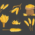 Golden Wheat Ears Bundles And Sack Of Grains Isolated On Dark Background