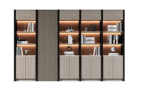 Modern bookcase 3d model