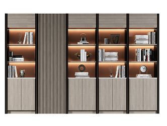 Modern bookcase 3d model