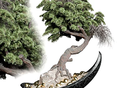 Artistic Pine Bonsai Tree With Curved Trunk Exposed Roots And Golden Pebbles In Black Pot 3d model