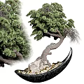 Artistic Pine Bonsai Tree With Curved Trunk Exposed Roots And Golden Pebbles In Black Pot