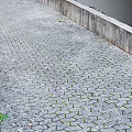 Cobblestone Ground With Green Moss Growing Between Gaps And Concrete Wall Near Water