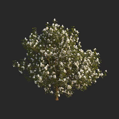 Lush Arbor With Green Foliage And White Flowers Against Dark Background 3d model