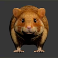 Mouse Wizard Mouse Warlock Cartoon Mouse Animation Mouse Animation Mouse Cartoon Character Cartoon Animal 3d model