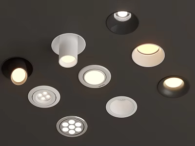 Various Modern Downlights And Spotlights With Different Colors And Designs For Home Ceiling 3d model