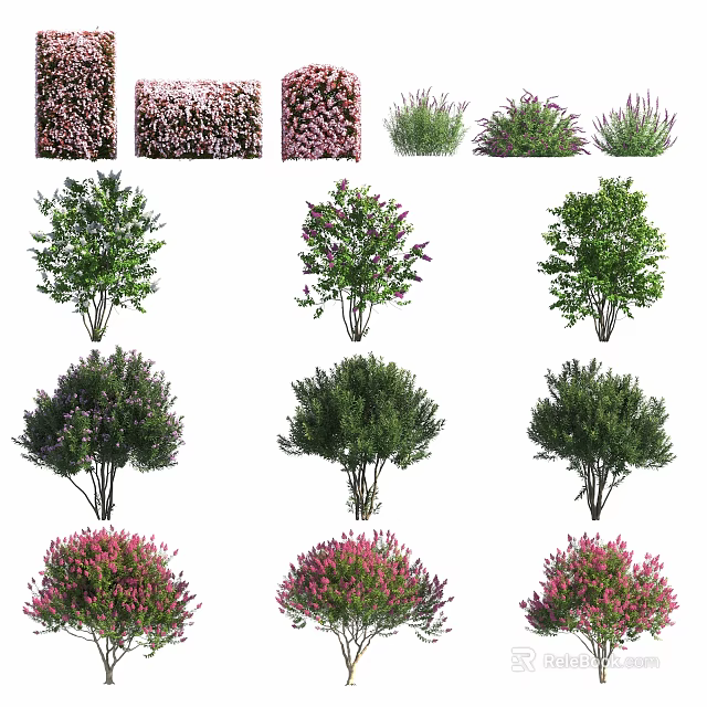 Various Colorful Shrubs With Green Pink And Purple Foliage For Garden Landscaping 3d model 
