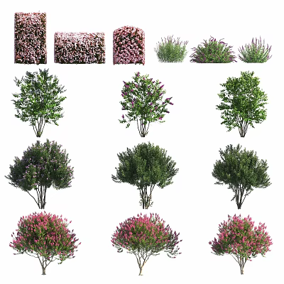 Various Colorful Shrubs With Green Pink And Purple Foliage For Garden Landscaping 3d model