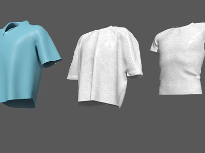 Different Style Casual Clothes Including Blue Polo Shirt White Loose Shirt And White T-shirt 3d model